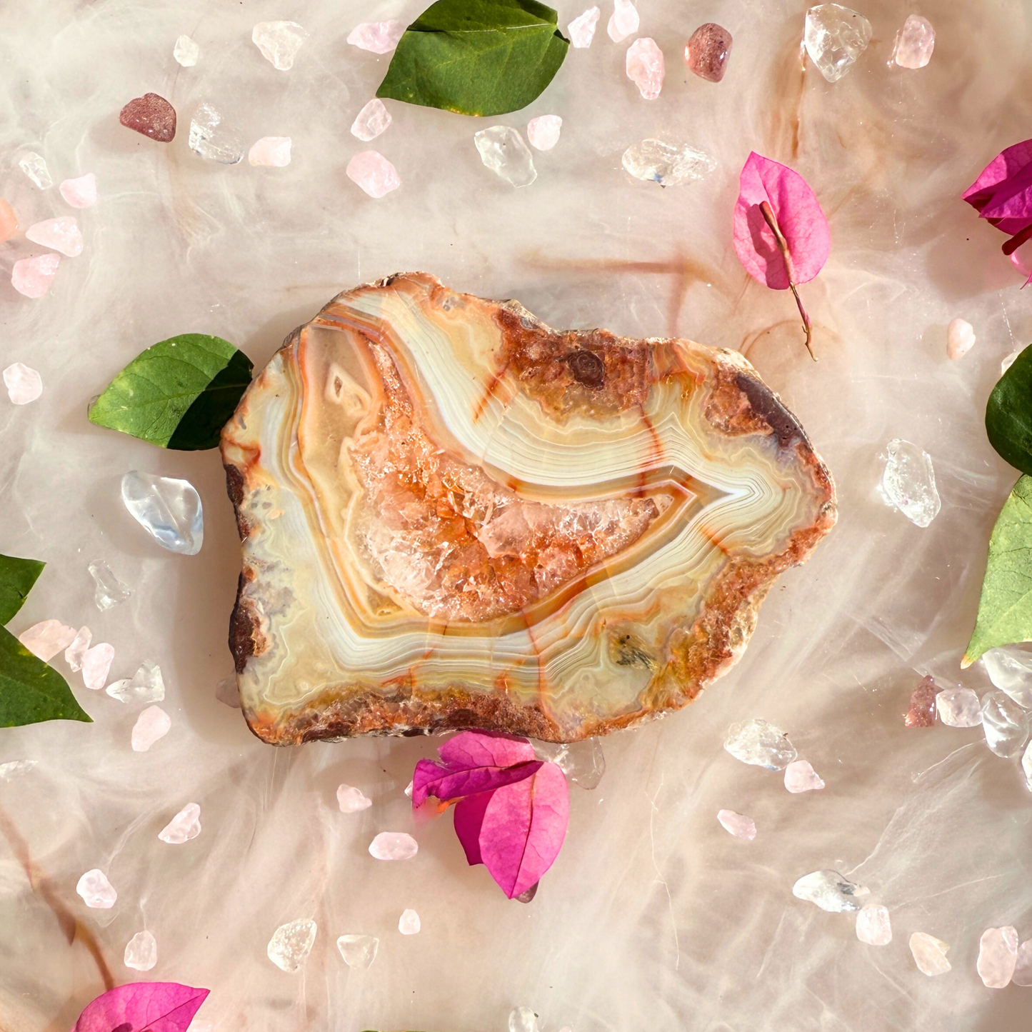 ๐ Spicy Little Show-Off โ Carnelian Slabs | You Choose