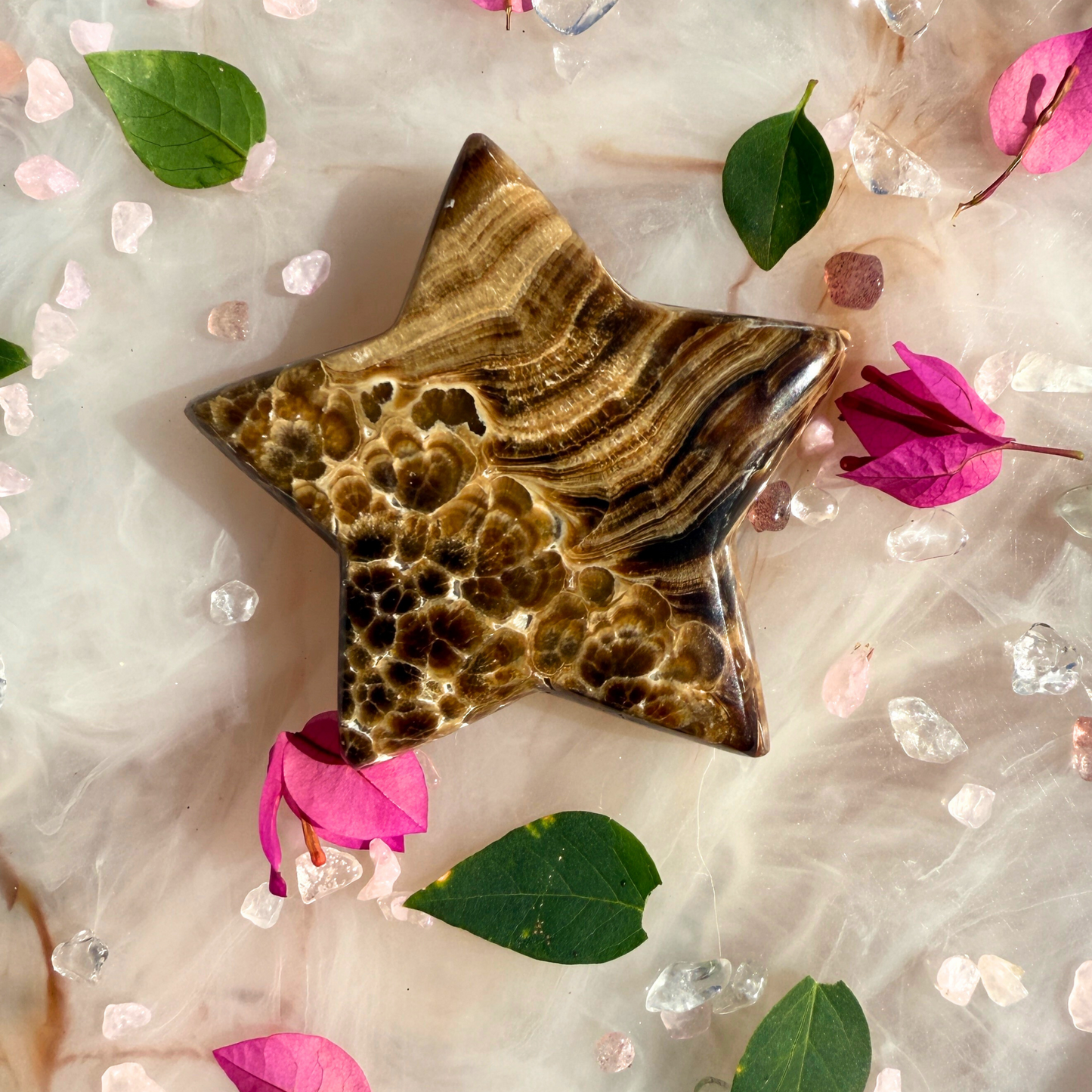 ๐ซ Chocolate Calcite Starfish ๐โจ