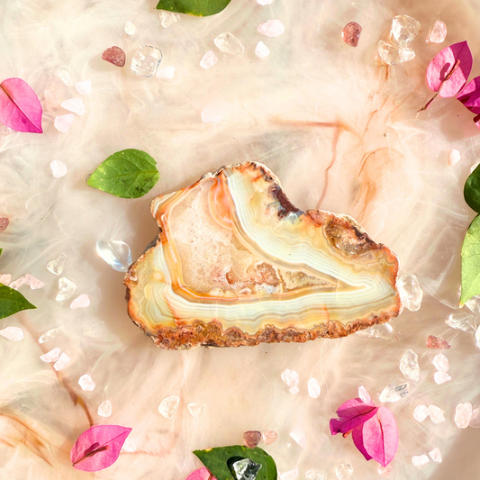 🍊 Spicy Little Show-Off – Carnelian Slabs | You Choose