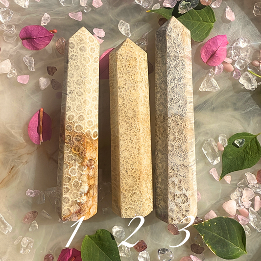 🐚 Eternal Ocean – Fossil Coral Towers | You choose