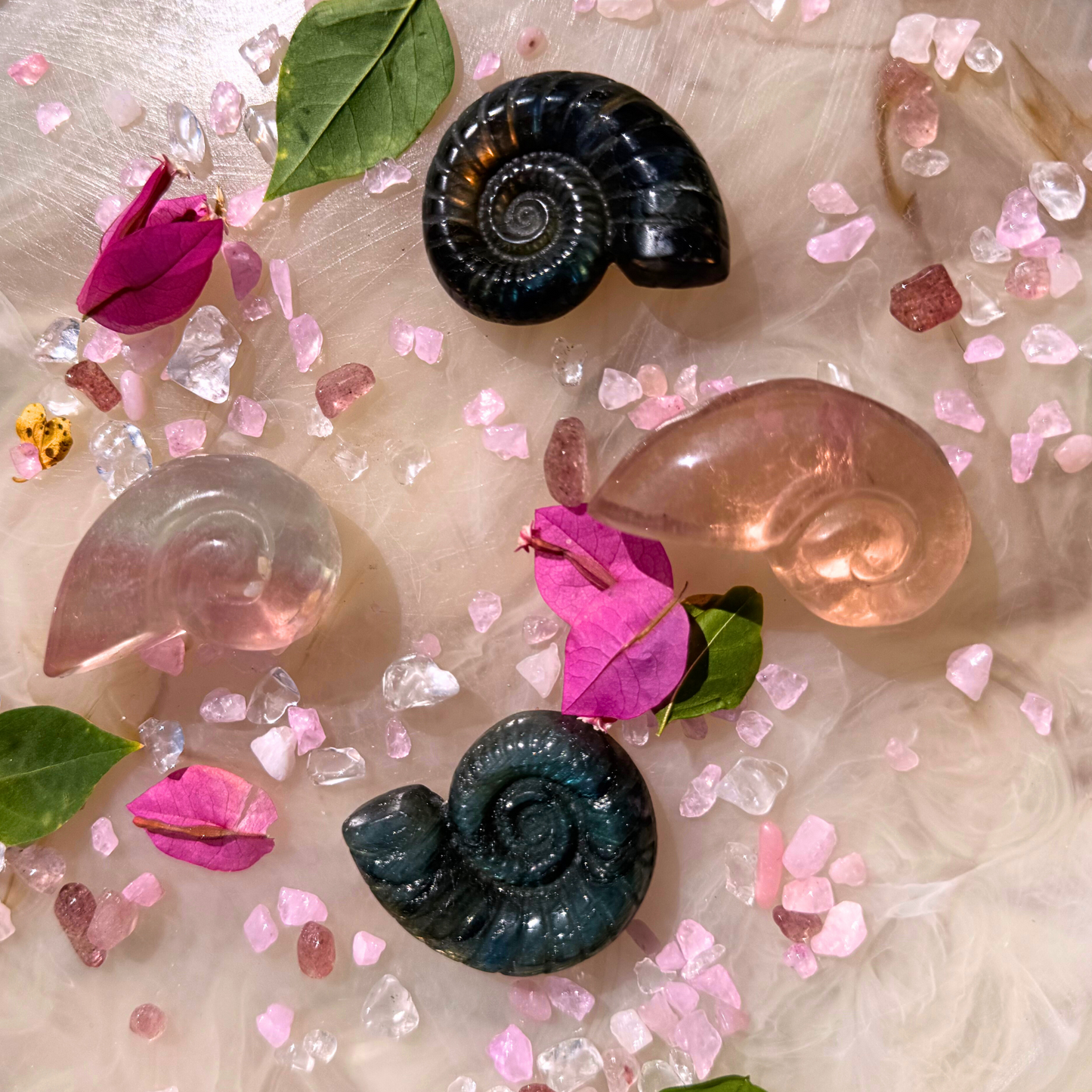 🐚 Crystal Shell Carvings – You Choose