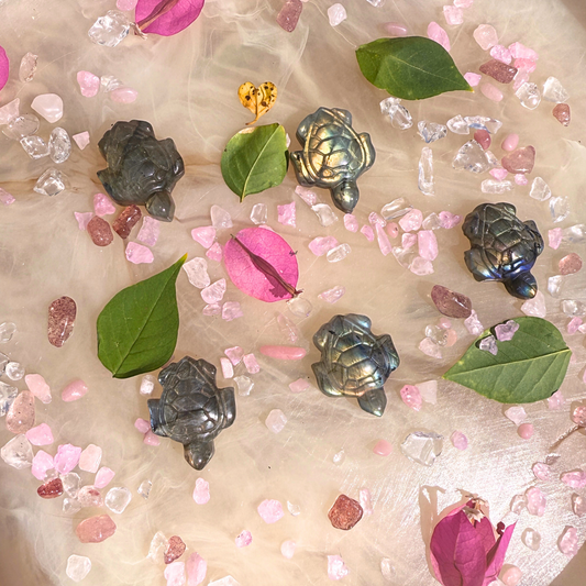 🌊 Tiny Turtle Treasures – Labradorite Mini Carvings