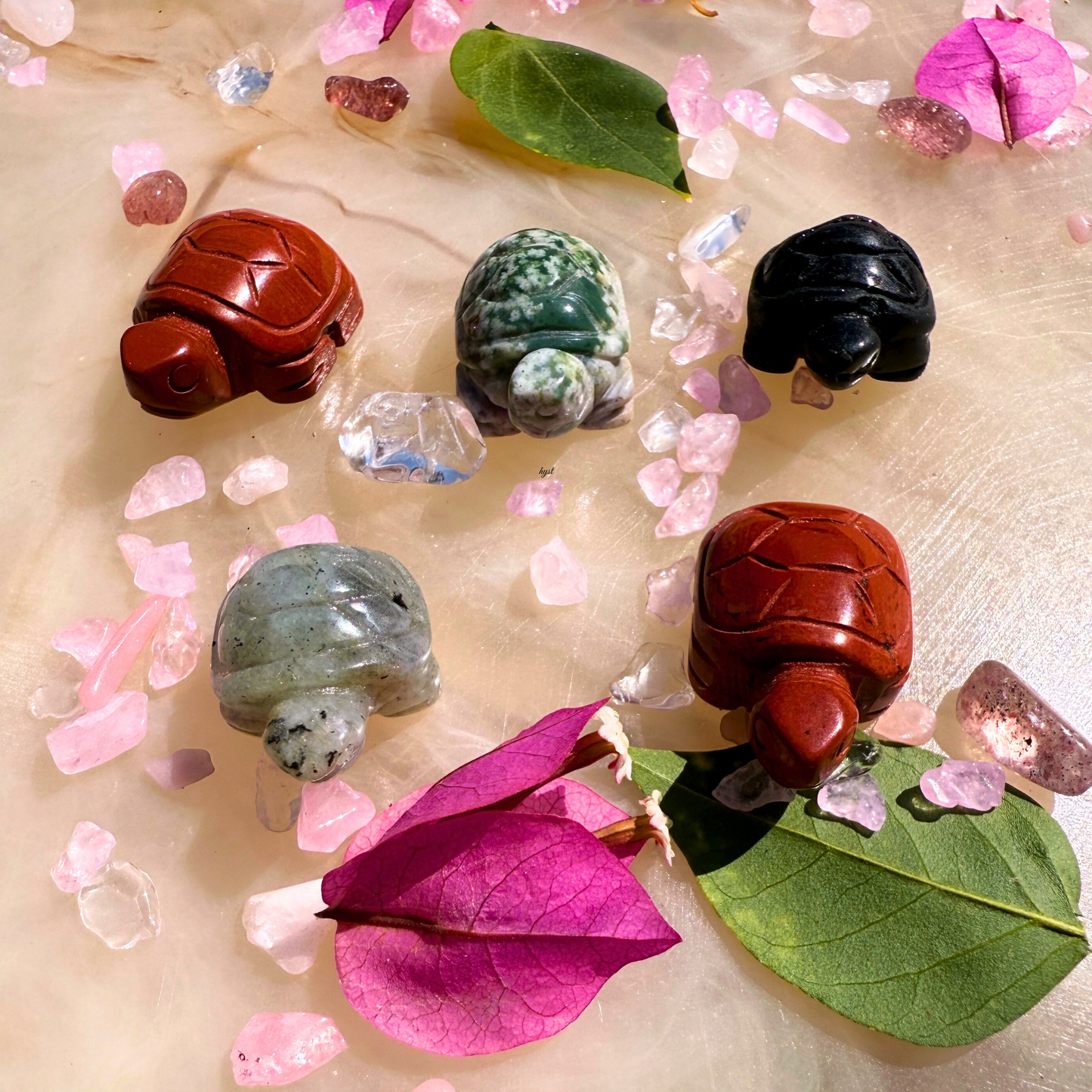 🐢 Mini Crystal Turtles – Pick Your turtle