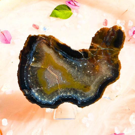 🌿 “Mossy Mindscape” – Yellow Moss in Chalcedony Slab 💛🌳✨