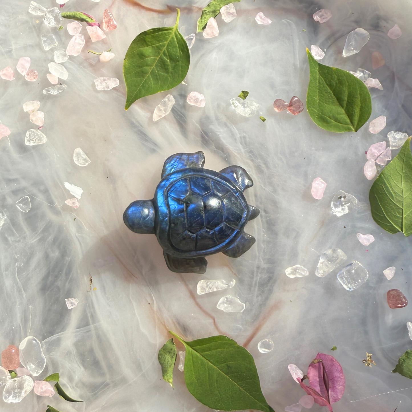 High-Flash Labradorite Turtle (Pick 1 or 2)