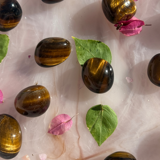 🐅 Main Character Energy – Tiger’s Eye Tumbles (Intuitively Picked)