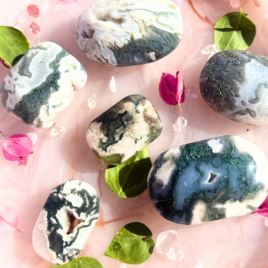 🌿 Moss Boss – Intuitive Pick Palms 💚